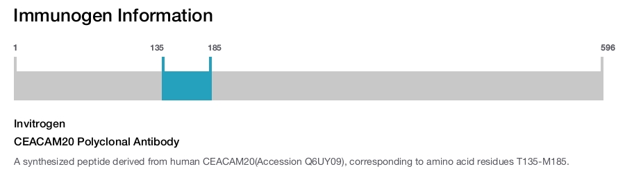 CEACAM20 Polyclonal Antibody