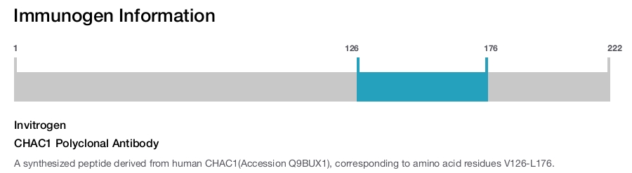CHAC1 Polyclonal Antibody