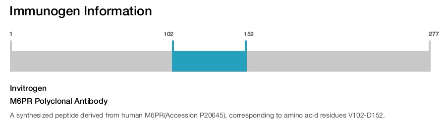 M6PR Polyclonal Antibody