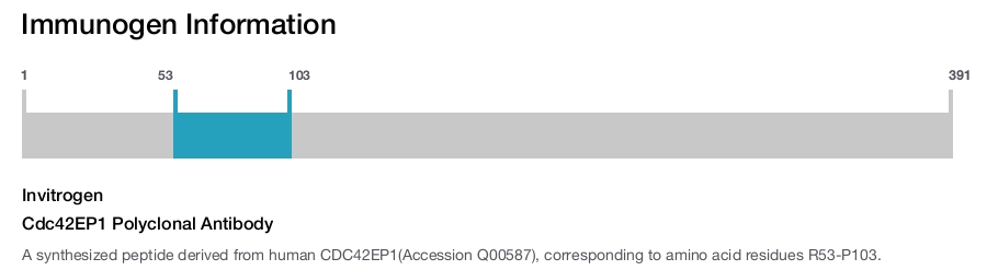 Cdc42EP1 Polyclonal Antibody