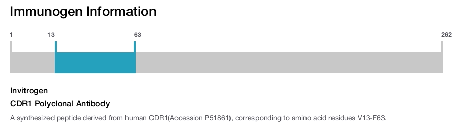 CDR1 Polyclonal Antibody