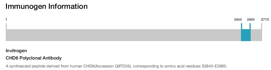 CHD6 Polyclonal Antibody