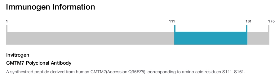 CMTM7 Polyclonal Antibody