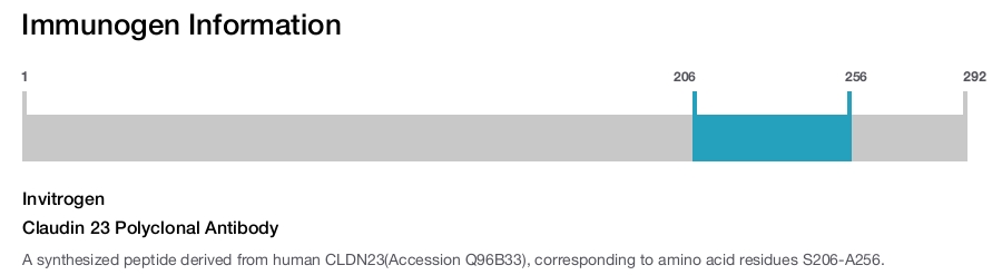 Claudin 23 Polyclonal Antibody
