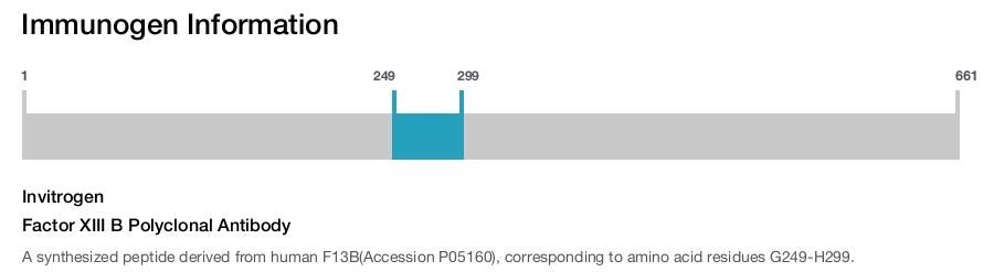 Factor XIII B Polyclonal Antibody