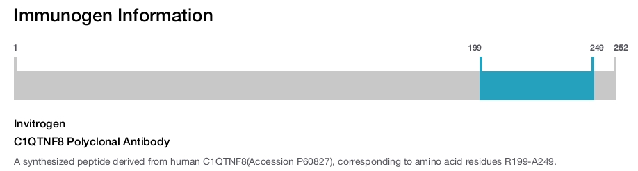 C1QTNF8 Polyclonal Antibody