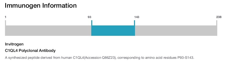 C1QL4 Polyclonal Antibody