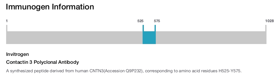Contactin 3 Polyclonal Antibody