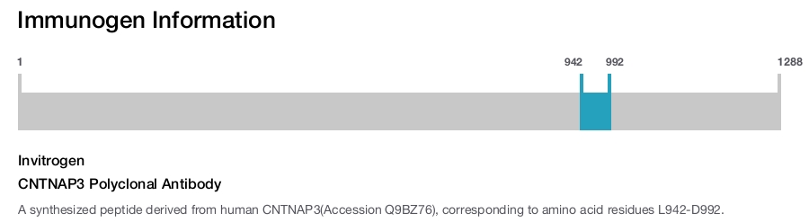 CNTNAP3 Polyclonal Antibody