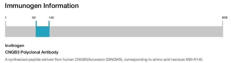 CNGB3 Polyclonal Antibody