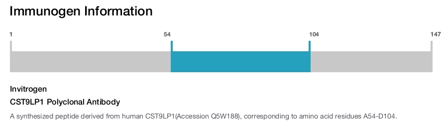 CST9LP1 Polyclonal Antibody