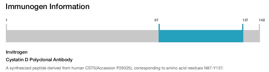 Cystatin D Polyclonal Antibody