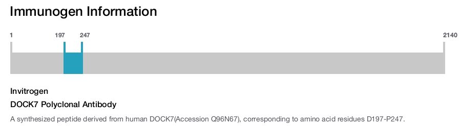 DOCK7 Polyclonal Antibody