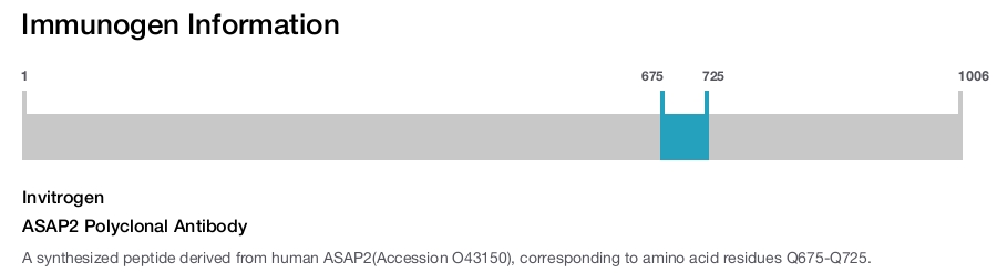 ASAP2 Polyclonal Antibody
