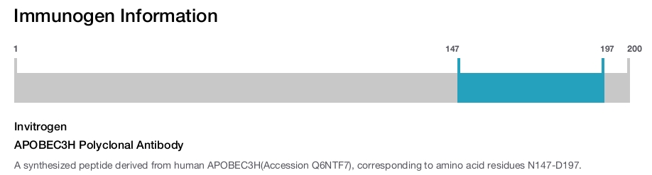 APOBEC3H Polyclonal Antibody