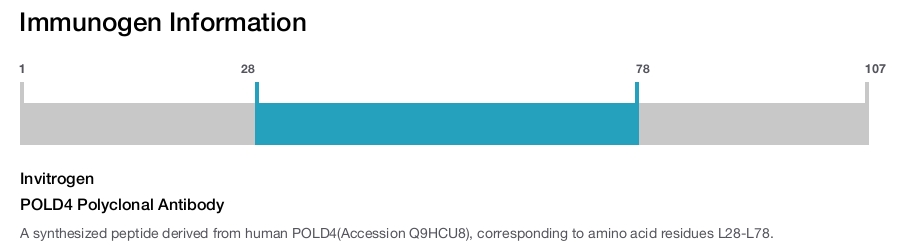POLD4 Polyclonal Antibody