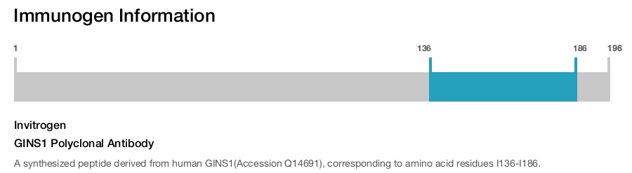 GINS1 Polyclonal Antibody