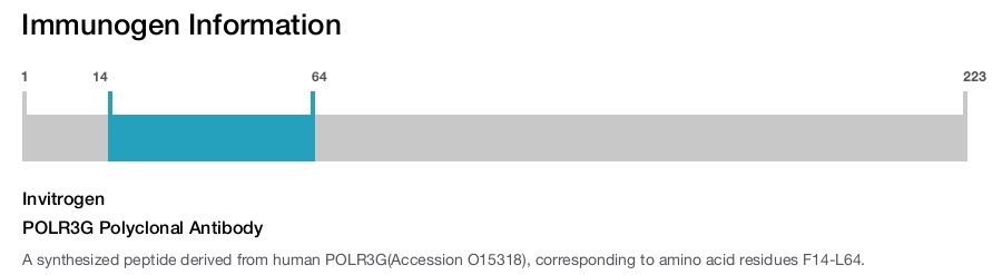 POLR3G Polyclonal Antibody