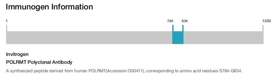 POLRMT Polyclonal Antibody