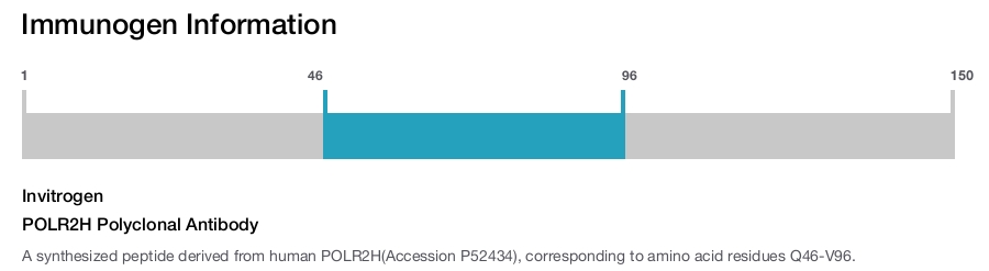 POLR2H Polyclonal Antibody