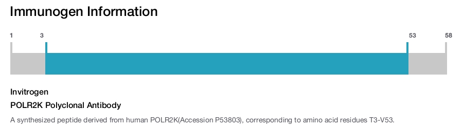 POLR2K Polyclonal Antibody