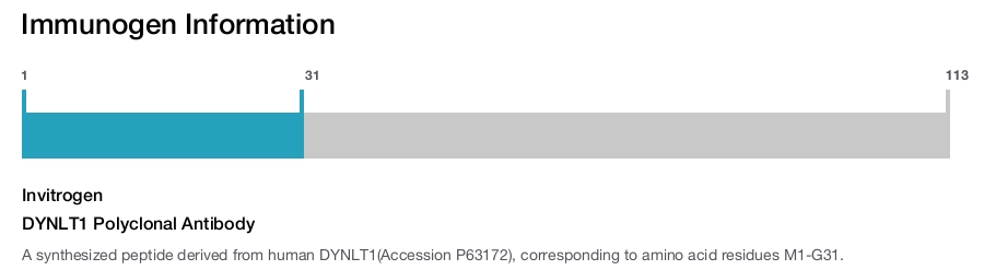 DYNLT1 Polyclonal Antibody