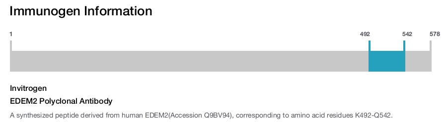 EDEM2 Polyclonal Antibody