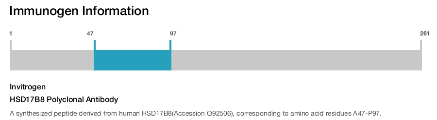 HSD17B8 Polyclonal Antibody