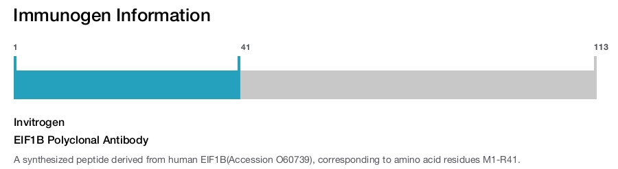 EIF1B Polyclonal Antibody
