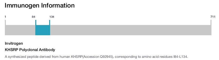 KHSRP Polyclonal Antibody