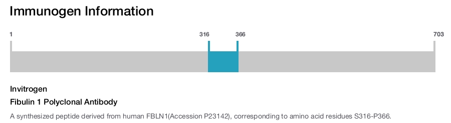 Fibulin 1 Polyclonal Antibody