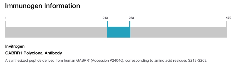 GABRR1 Polyclonal Antibody