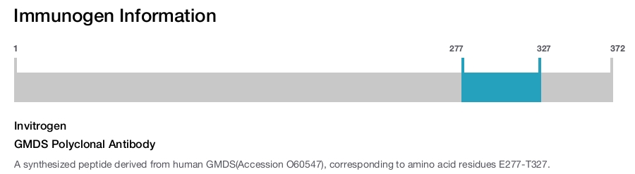 GMDS Polyclonal Antibody
