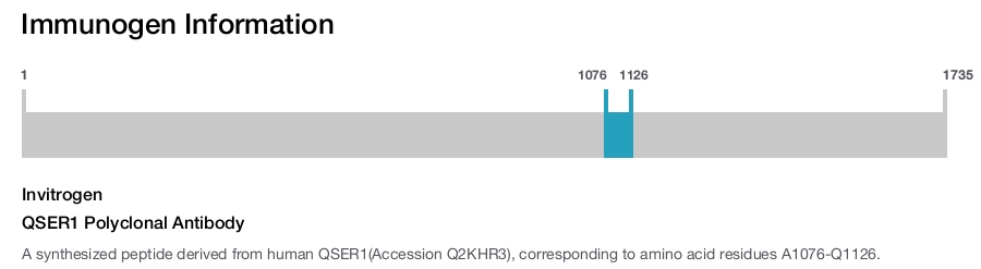 QSER1 Polyclonal Antibody