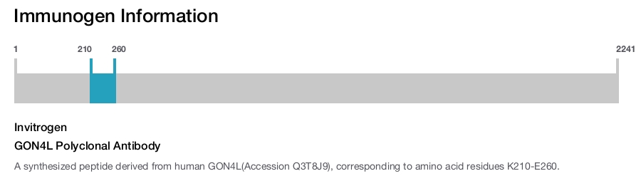 GON4L Polyclonal Antibody