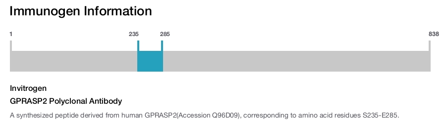 GPRASP2 Polyclonal Antibody