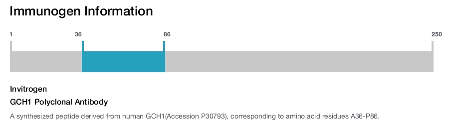 GCH1 Polyclonal Antibody