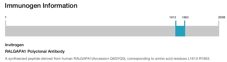 RALGAPA1 Polyclonal Antibody
