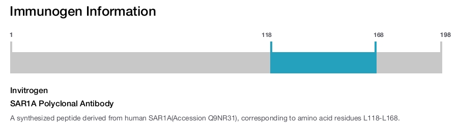 SAR1A Polyclonal Antibody