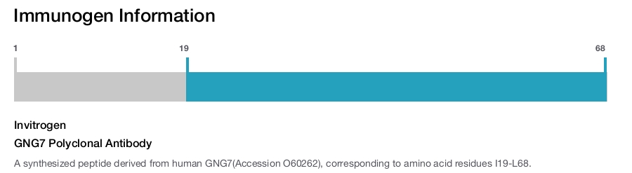 GNG7 Polyclonal Antibody