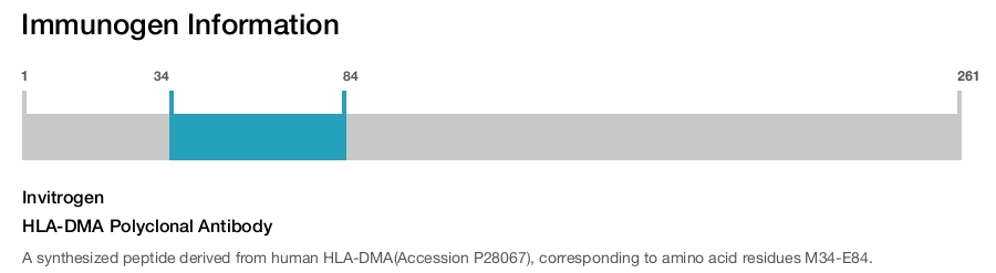 HLA-DMA Polyclonal Antibody