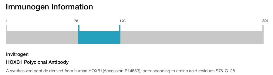 HOXB1 Polyclonal Antibody