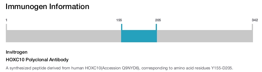 HOXC10 Polyclonal Antibody