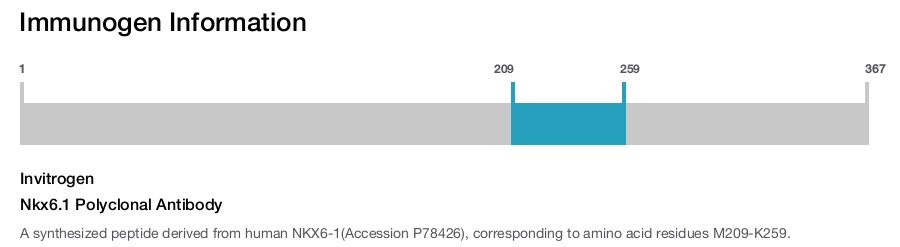 Nkx6.1 Polyclonal Antibody