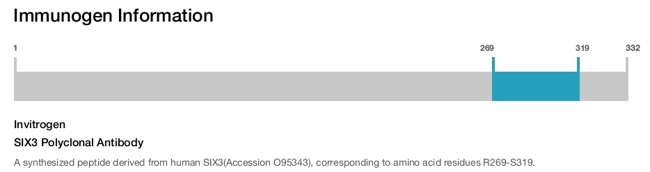 SIX3 Polyclonal Antibody
