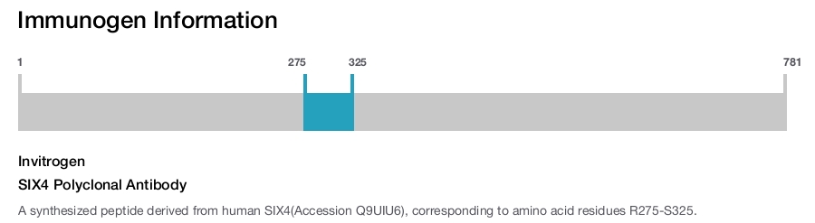 SIX4 Polyclonal Antibody