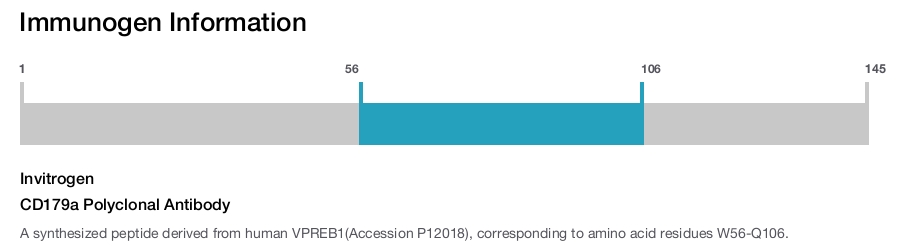 CD179a Polyclonal Antibody