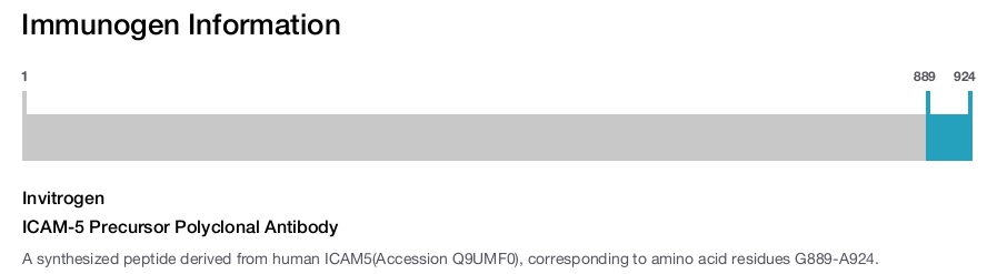 ICAM-5 Precursor Polyclonal Antibody