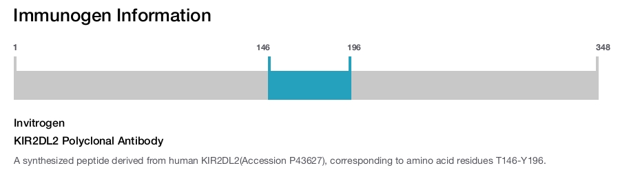 KIR2DL2 Polyclonal Antibody