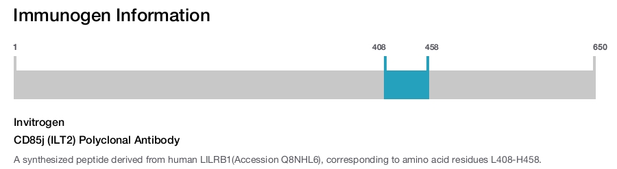 CD85j (ILT2) Polyclonal Antibody